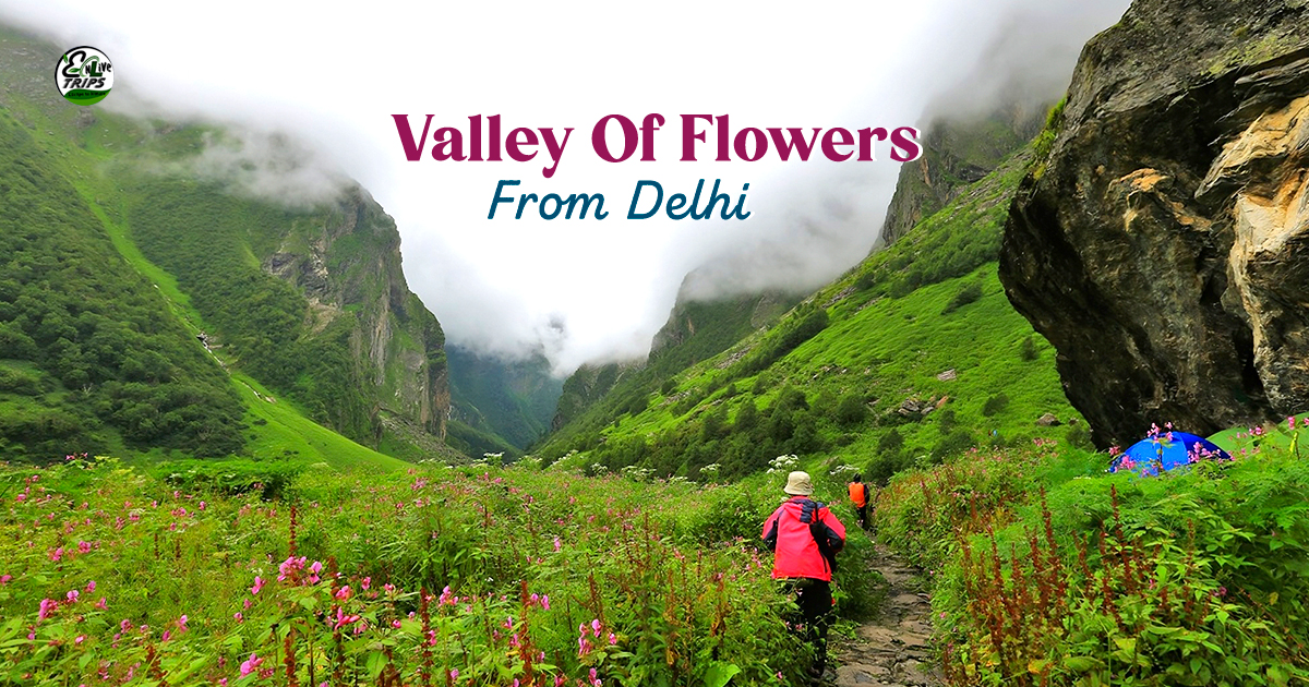 Valley of Flowers Trek Package From Delhi